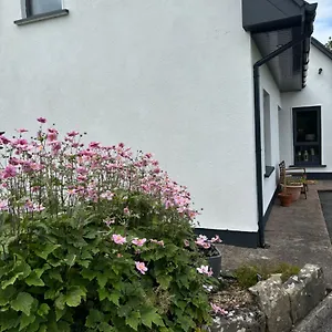 Coastal , Westport Ireland